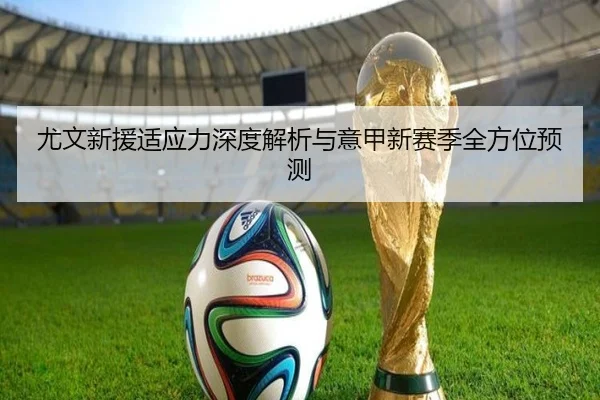 尤文新援适应力深度解析与意甲新赛季全方位预测